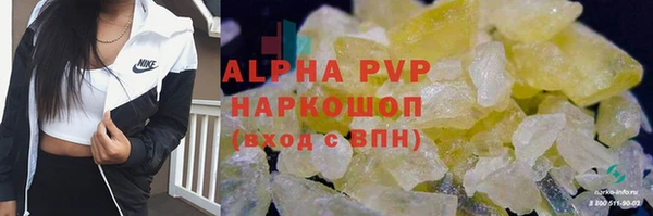 гидра Богданович